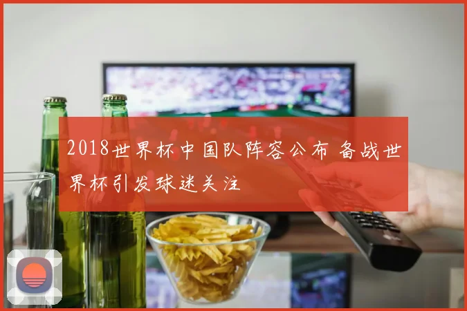2018世界杯中国队阵容公布 备战世界杯引发球迷关注