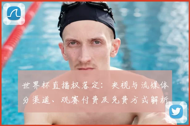世界杯直播权落定：央视与流媒体分渠道、观赛付费及免费方式解析
