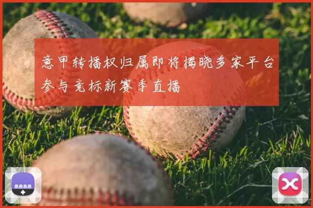 意甲转播权归属即将揭晓多家平台参与竞标新赛季直播