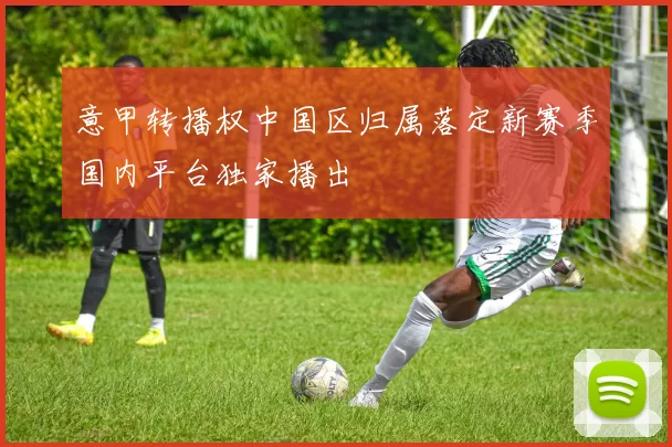意甲转播权中国区归属落定新赛季国内平台独家播出